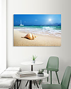 Obraz na stenu do spálne Mušľa na piesočnatej pláži zs1344